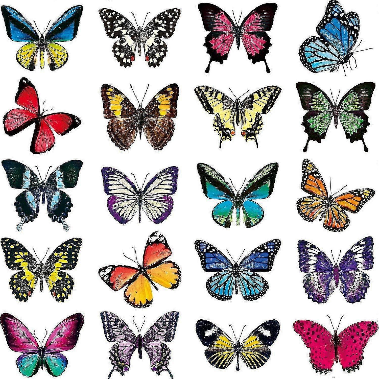 Butterfly Anti-Collision Window Set