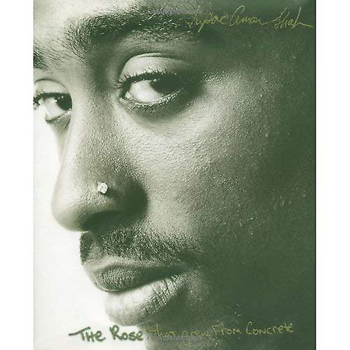 The Rose That Grew From Concrete