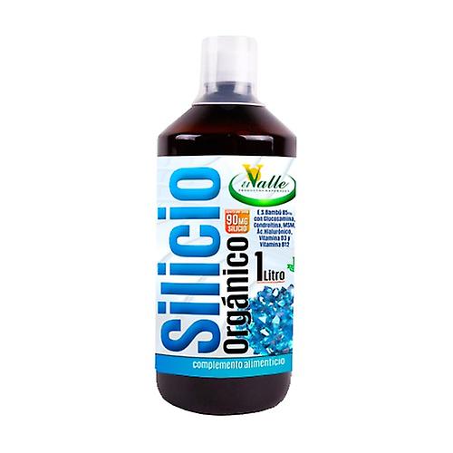 Organic Silicon 1 L