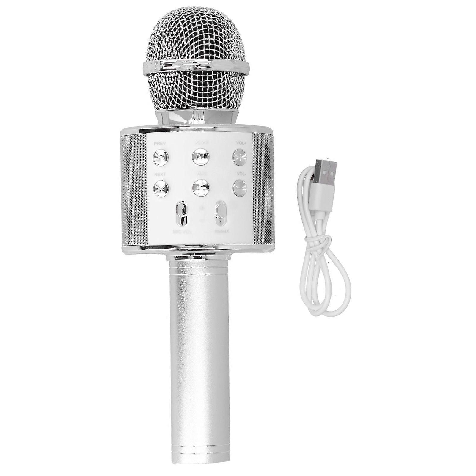 Wireless Microphone Bluetooth Recording Handheld Portable for Party Wedding Meeting
