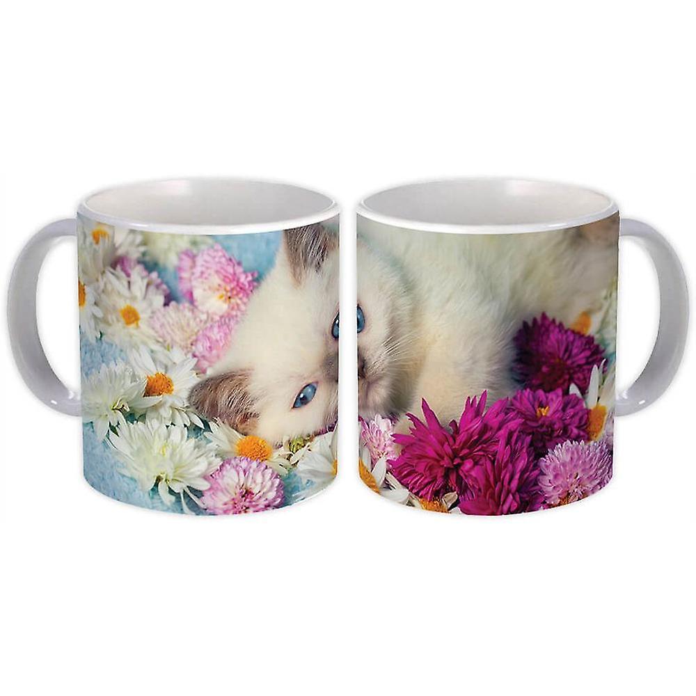 Gift Mug: Himalayan Cat Kitten