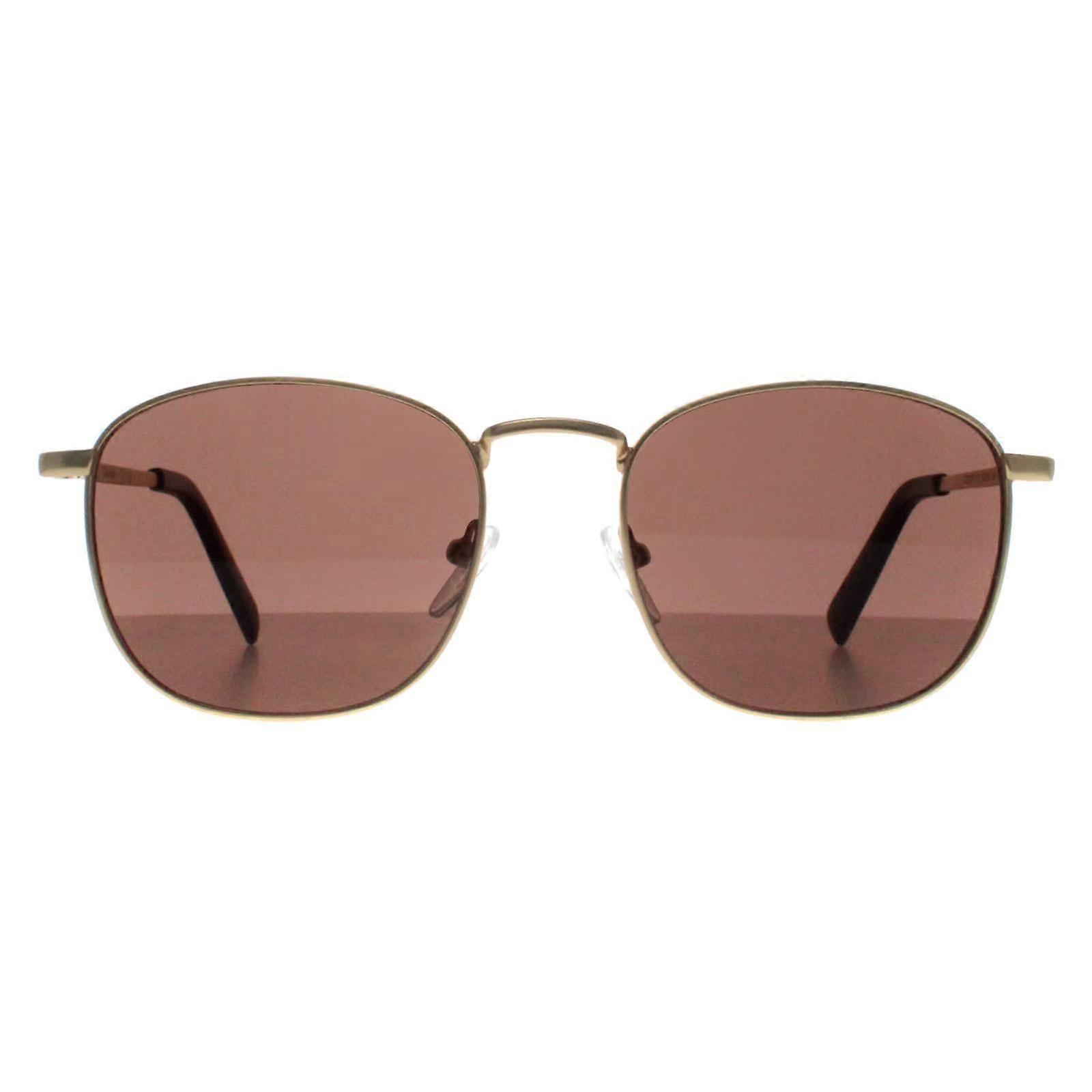 Calvin Klein Sunglasses CK20122S 717 Matte Gold Solid Brown