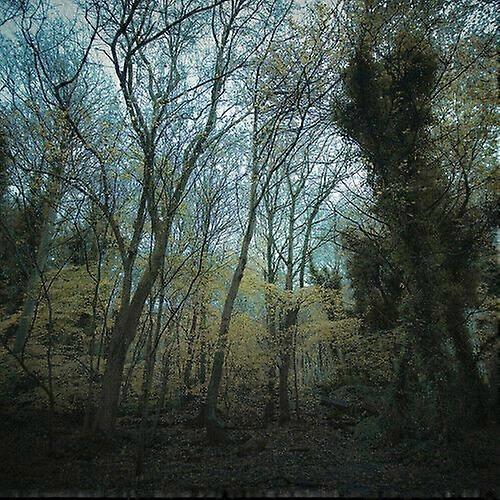 Worriedaboutsawbrtan Time Lapse CD (2020) NEW