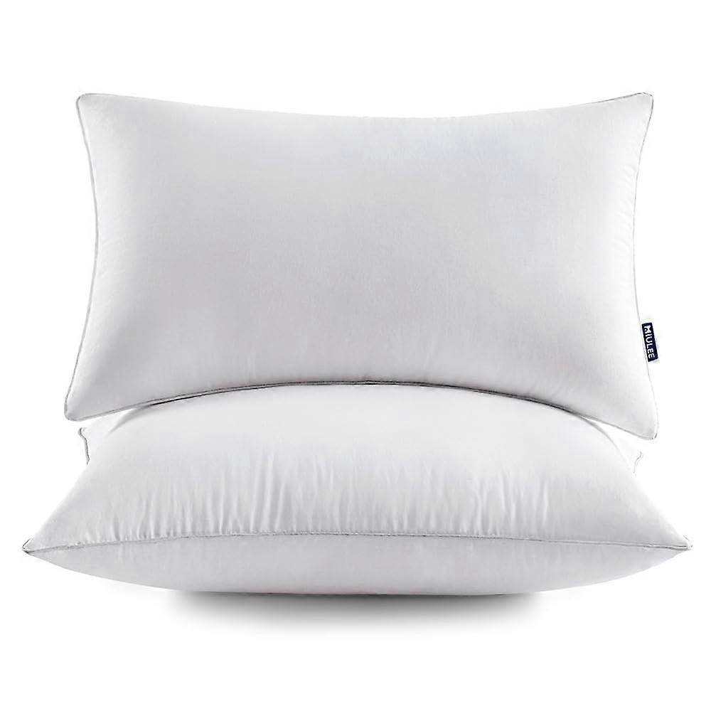 2 Pack Fluffy and Cozy Pillow Inserts for Bed Indoor 12x20