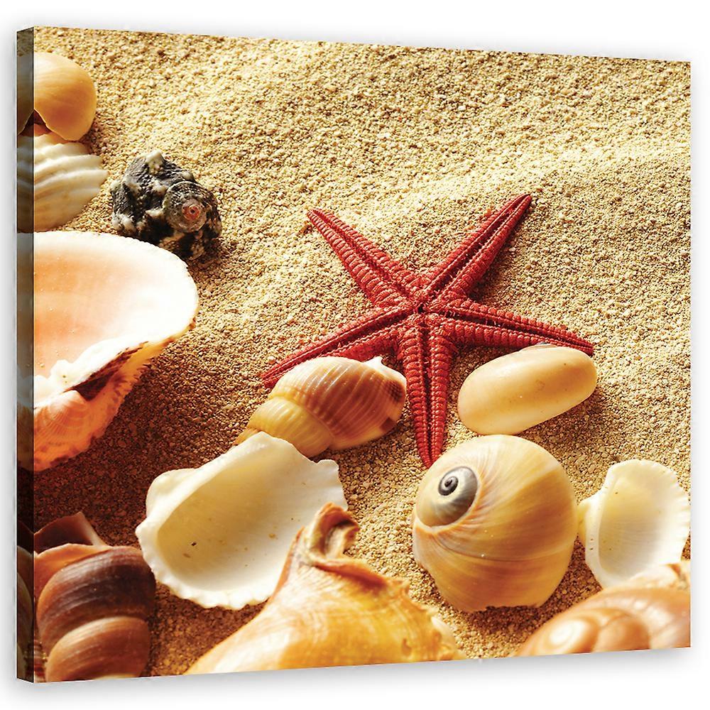 Leinwandbild, Querformat - Beige - 50x50