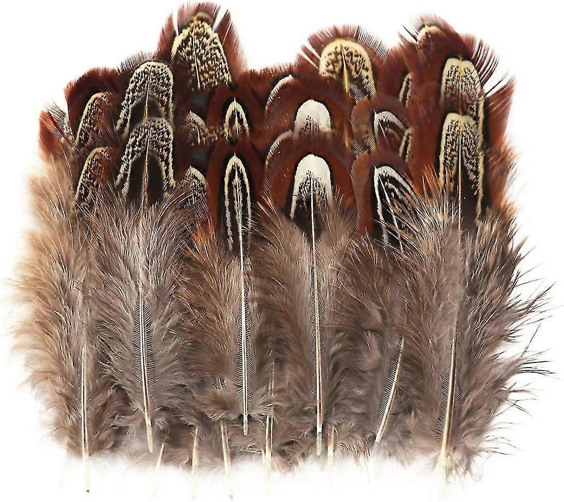 100 جهاز كمبيوتر شخصى 2-3 بوصة الريش الدراج الطبيعي السائبة ألوان مختلفة ريشة طبيعية الحرف الملابس قبعة الخياطة تزيين