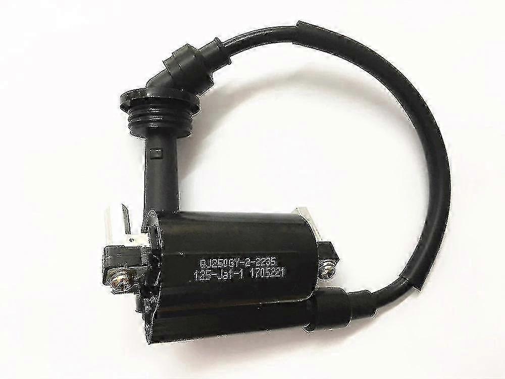 סליל הצתה עבור בנלי Bn251 Bn250 Tnt25 Tnt250 / Bn Tnt 25 250 251