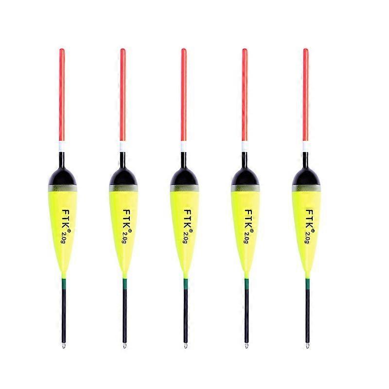 5Pcs Fishing Float Barguzinsky Floats Float 2G-4G for Carp Fishing Fishing Tackles Tools