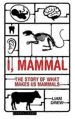 I Mammal