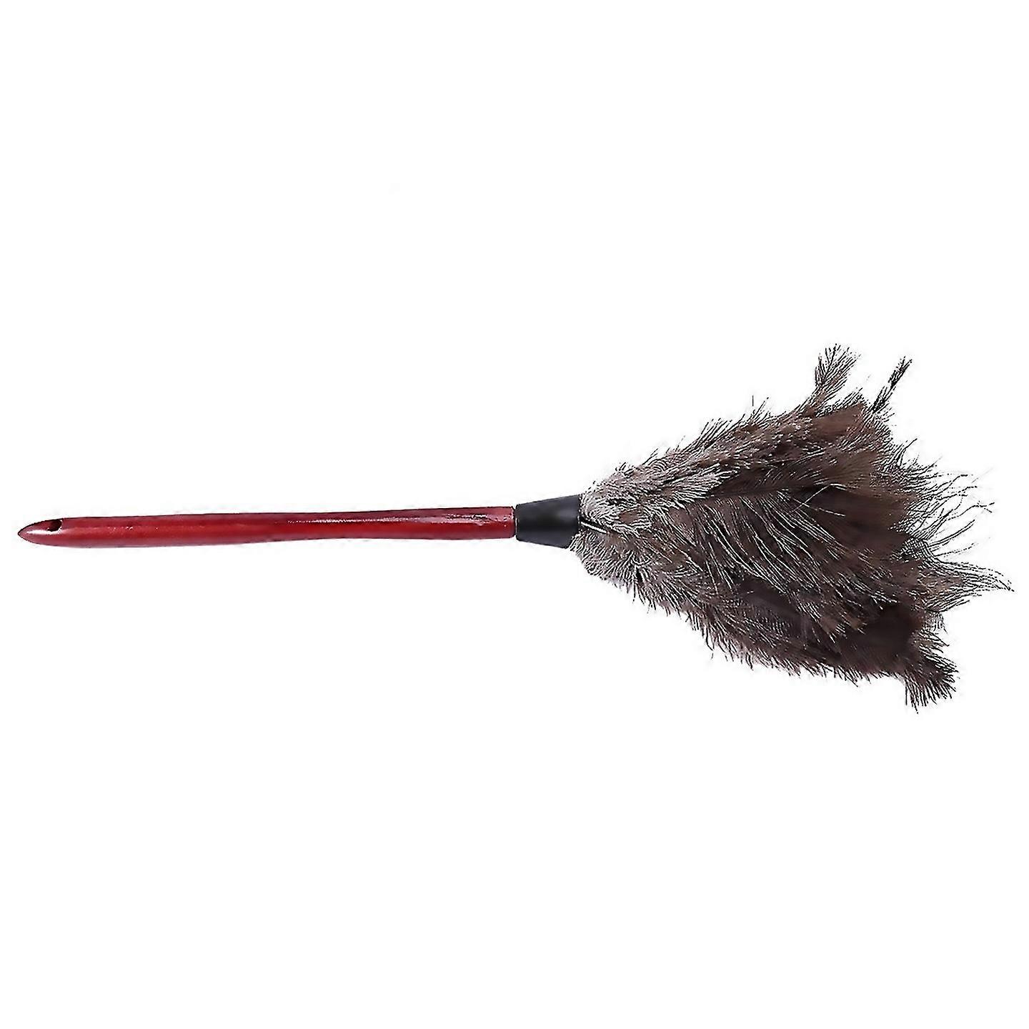 For Ostrich Cleaning Feather Duster Ostrich Duster Ostrich Feather Duster Soft Feathers Duster From