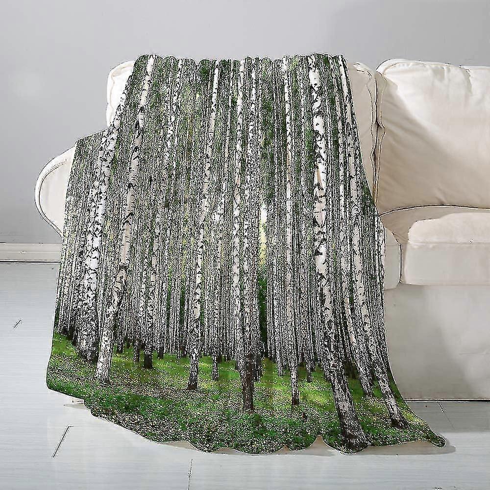 Blanket Flannel Blanket Sofa Throwlandscape, Autumn Trees In Birch Forest September Time View Landscape Image, White G- Versatile Blanket Fluffy Soft 