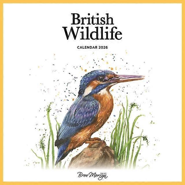 לוח שנה מרובע לקיר של ברי מרין לשנת 2026