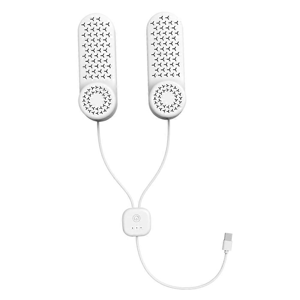 Electric Shoe Dryer and Boot Deodorizer with 3Level Timer for Quick Drying and Odor Removal