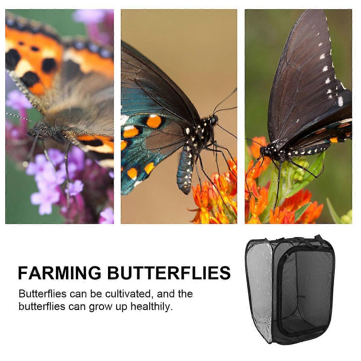 1Pcs Black Insect Incubator Cage for Protection Foldable Exploration Tool