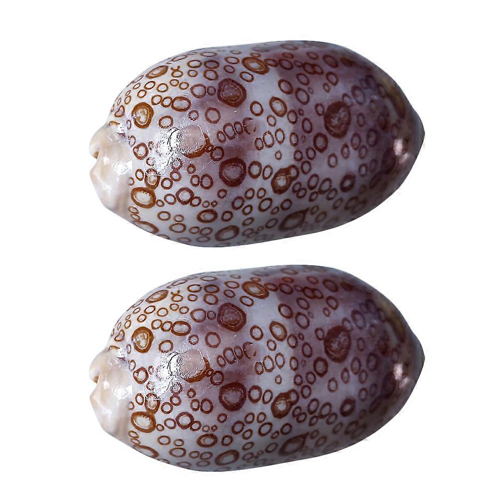 Cowrie Shells Cowrie Shells for Fish Tank Decor 2Pcs Sea Shell Landscaping