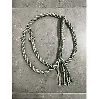 Braided Dog Lead - Green
