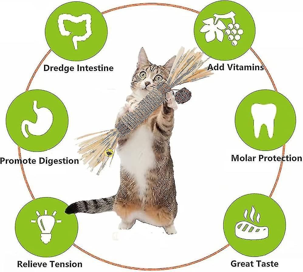 Cat Chew Sticks,cat Toy Stick,cat Stick