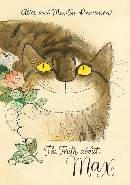 The Truth About Max Paperback Book