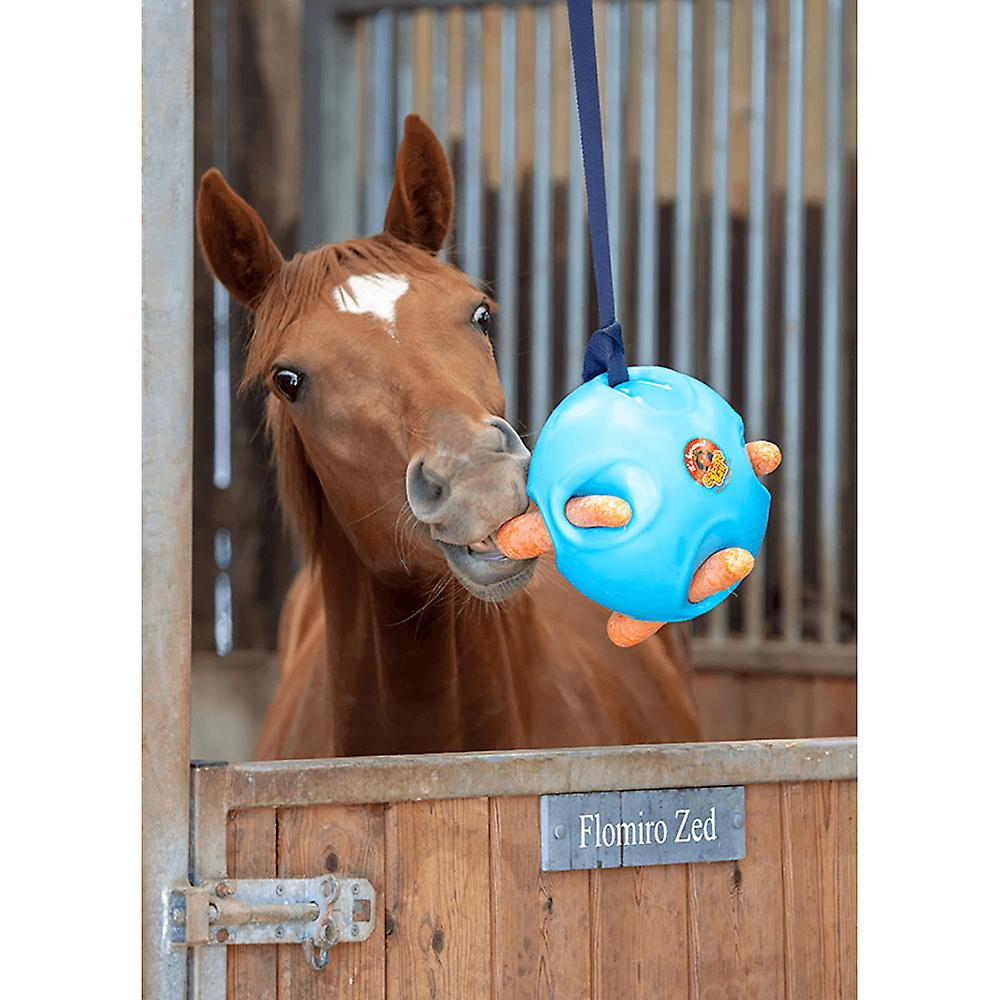Shires Carrot Ball - Blue