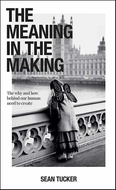 The Meaning In The Making by Sean Tucker Paperback