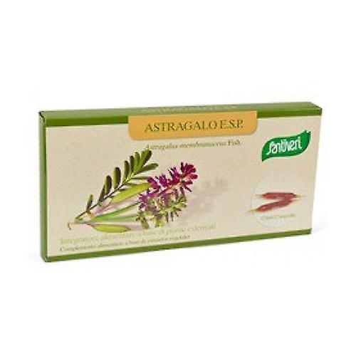 Astragalus 12 ampoules of 5ml