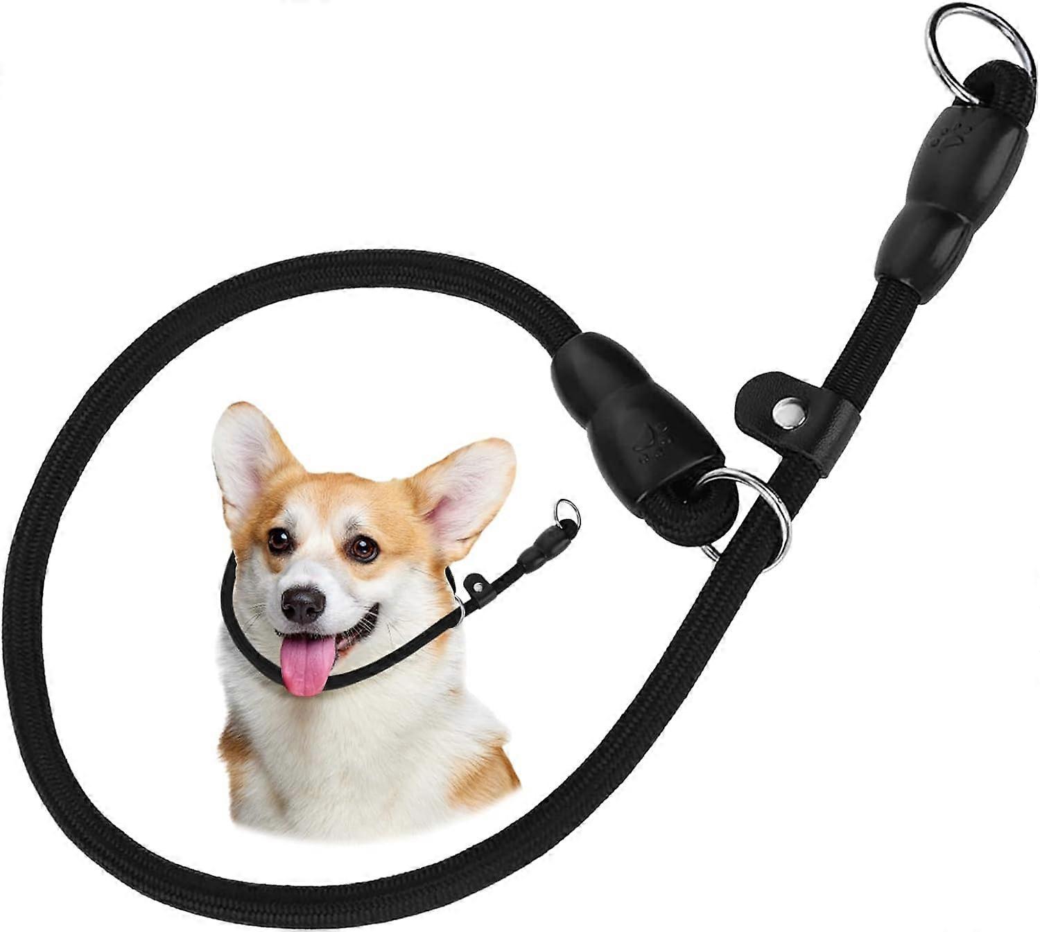 Slip Collar for Dogs Training Slip Collar Rope,Pet Walking Climbing Rope P Collar(Black,M)