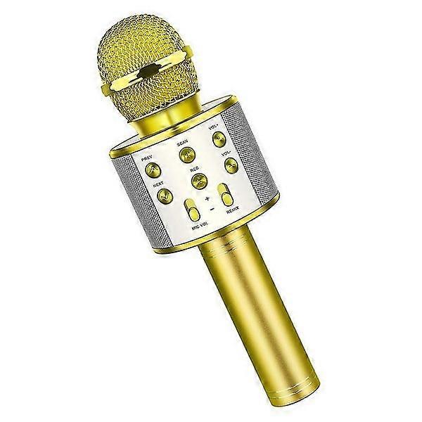 Portable Bluetooth Karaoke Microphone