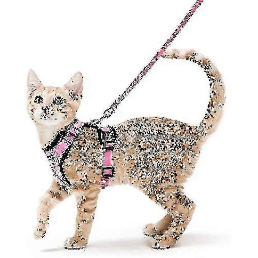 Rabbitgoo Cat Harness And Leash For Walking, Escape Proof Soft Adjustable Vest Harnesses For Cats, Easy Control