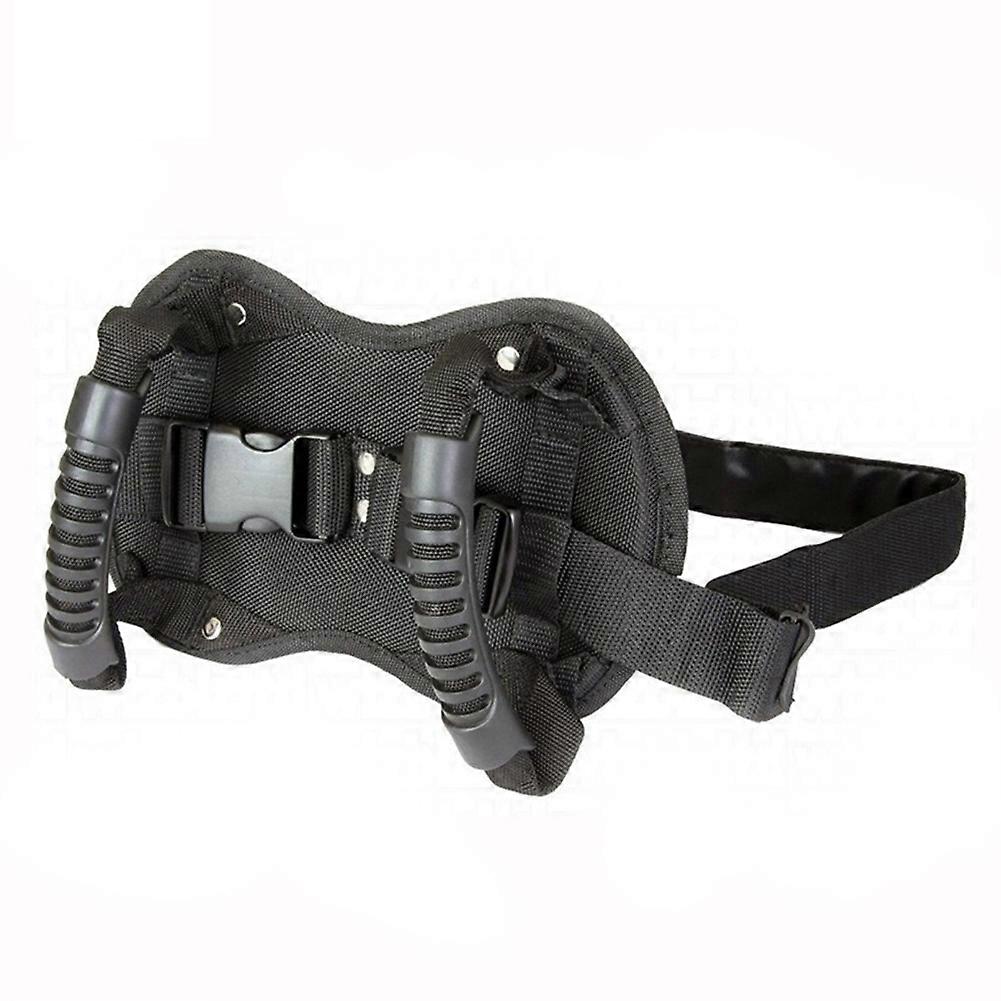 The Motorcycle Passenger Safety Belt System Safe Adjustable Strap Grab Handle