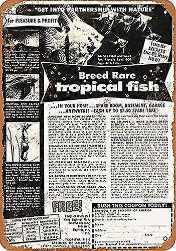 Placa de Parede Pacific Mail Steamships Asia Via Honolulu Placa de Lata 8x12 Polegadas OU 12x16 Polegadas Modo 4960