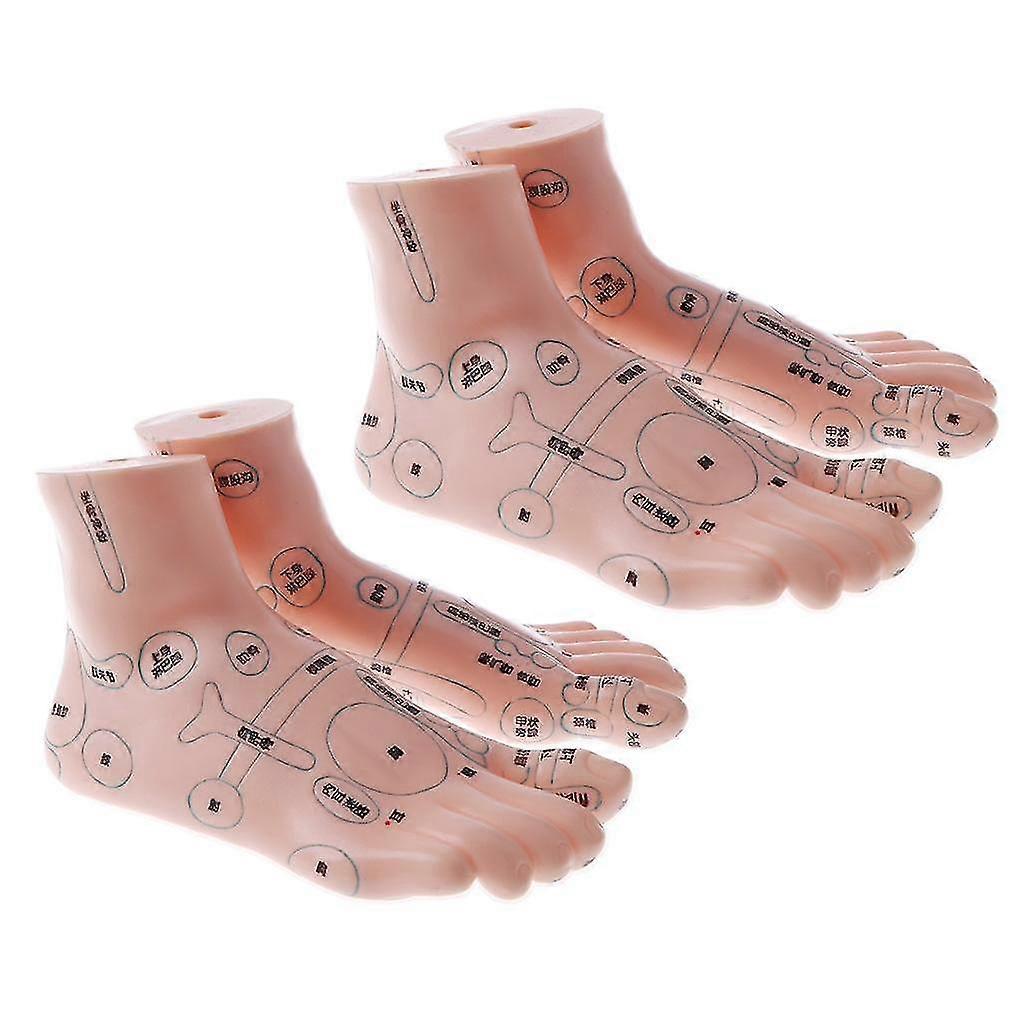 2 Pair 19cm Massage Acupuncture Feet Model Reflexology Acupoint Kit