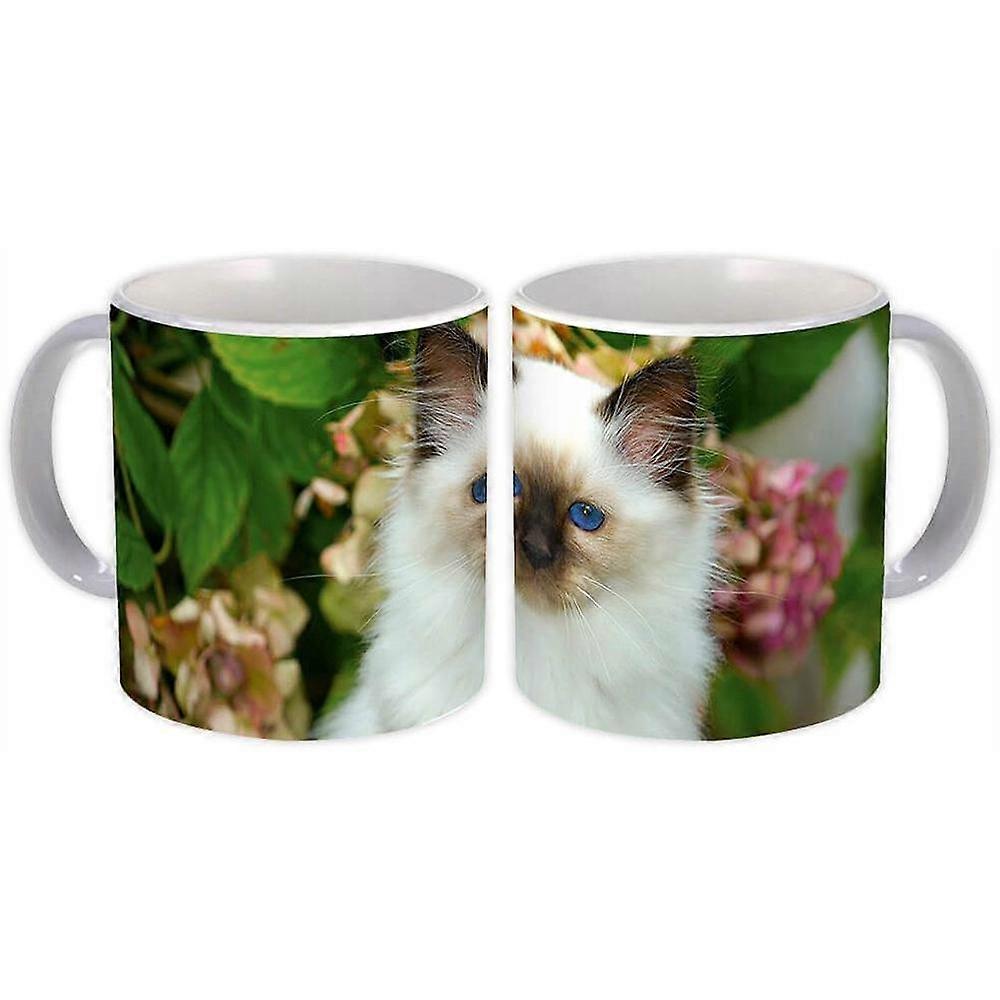 Gift Mug: Cat Animal