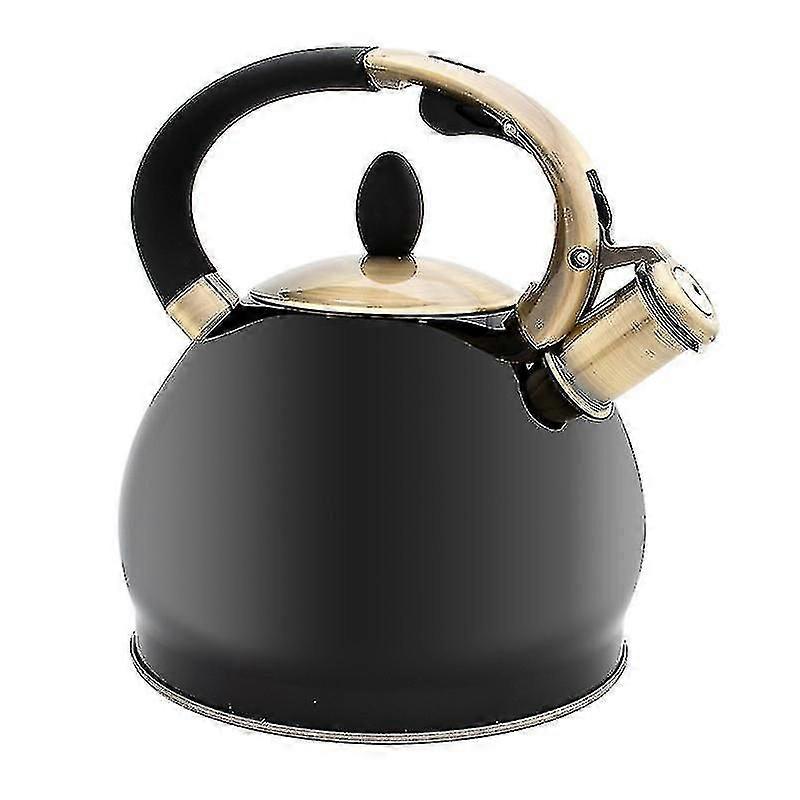 Bronze Whistling Kettle for Boiling Water and Making Coffee