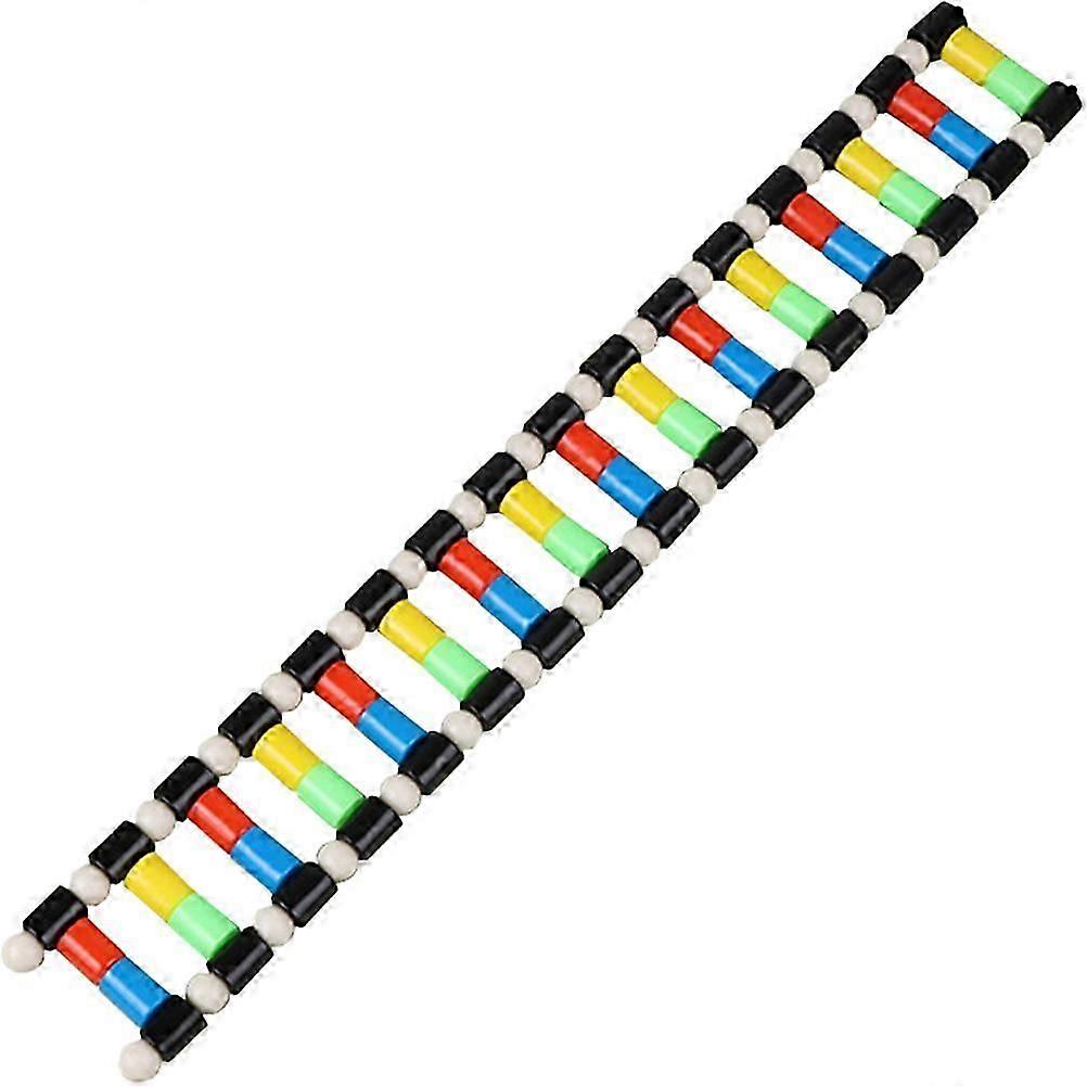 子供の教育玩具 DNA分子モデル DNAモデル教育化学分子モデル