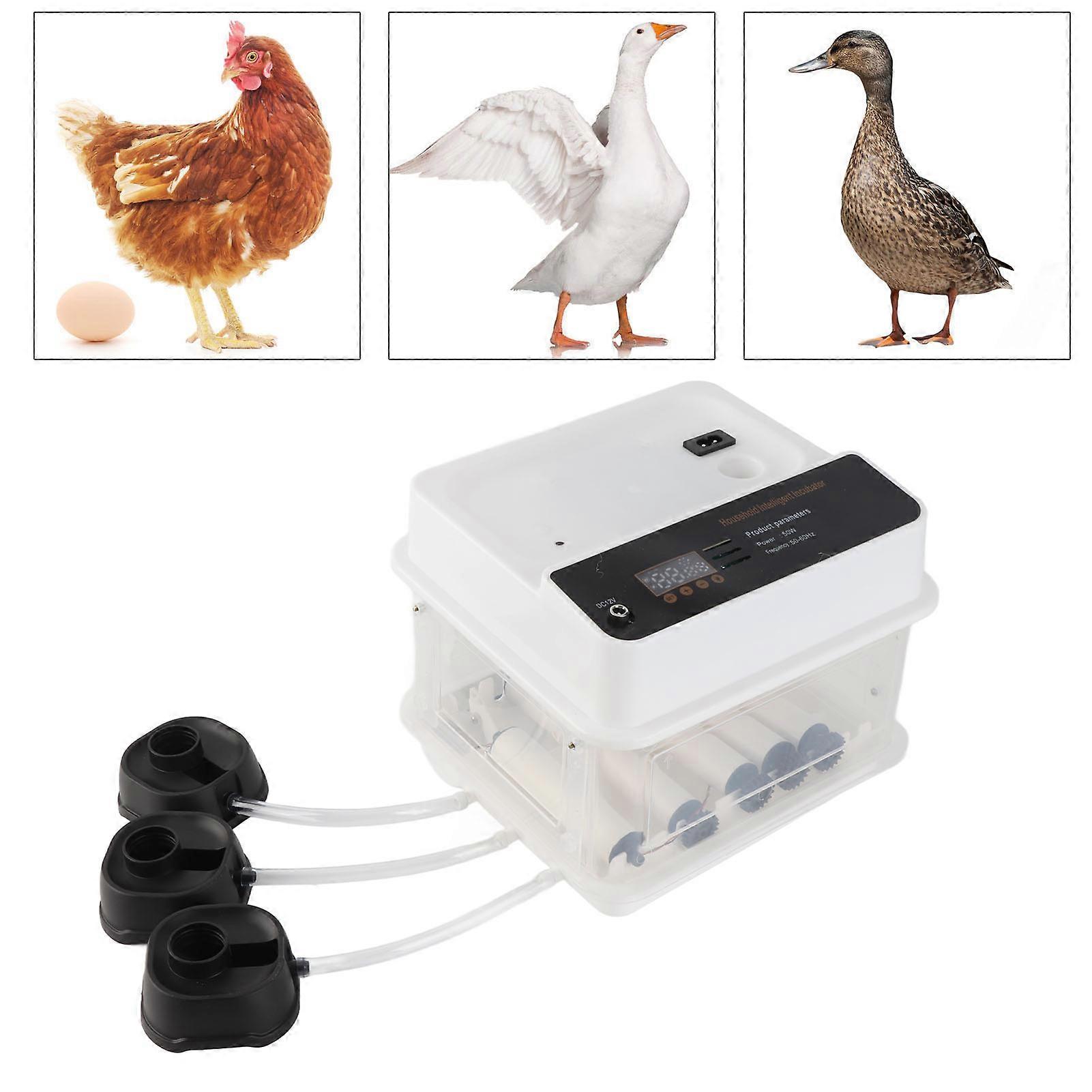 Egg Incubator 10pcs White 22cm LED Light EU Plug 220V