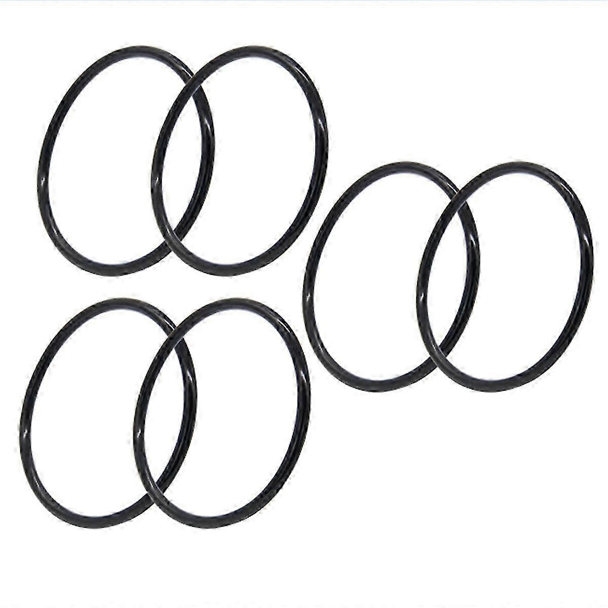 R172009 O-Ring for Model 300/320 Pool and Spa Chlorinator Lid (6 Pack)