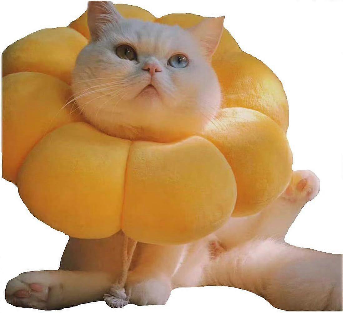 Adjustable cat collar, comfortable cat collar, soft protective collar cat wound