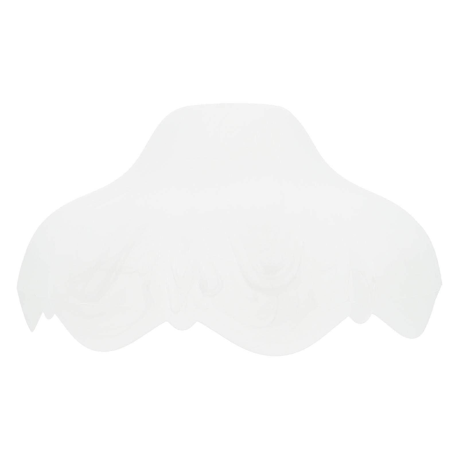 Frosted Glass Lampshade for Bedroom Lighting Home Use 2Pcs