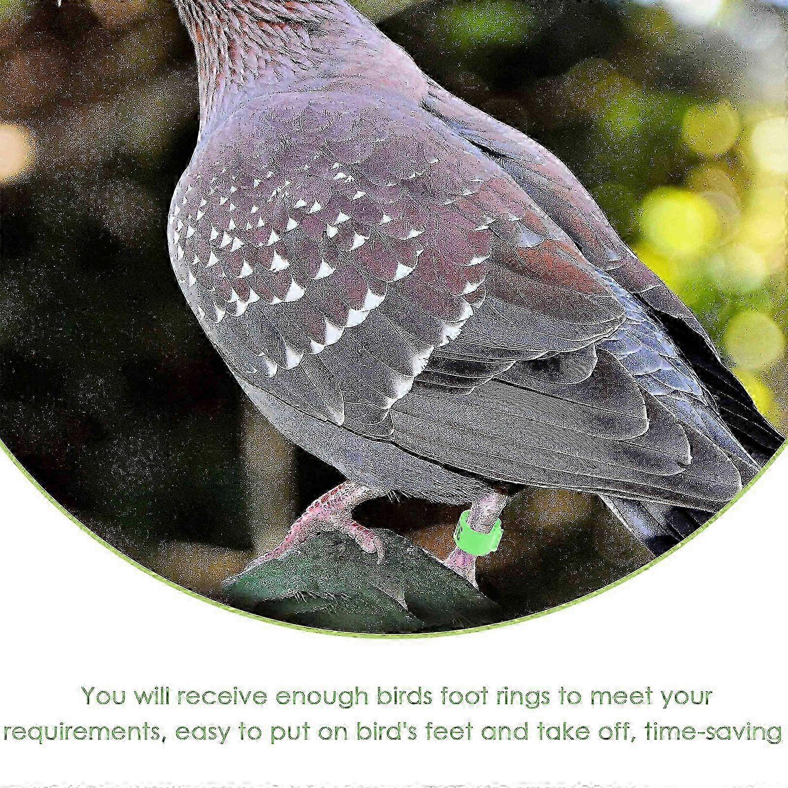 2025 DIY 12V Mini Wind Turbine Generator Kit - Small Wind Power Plant with LED Teaching Model