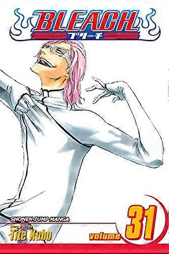 Bleach Vol. 31