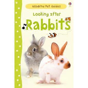 Leder du efter kaniner (Pet guider)