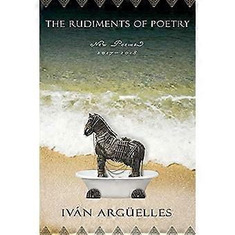 The Rudiments of Poetry New Poems 2017 2018