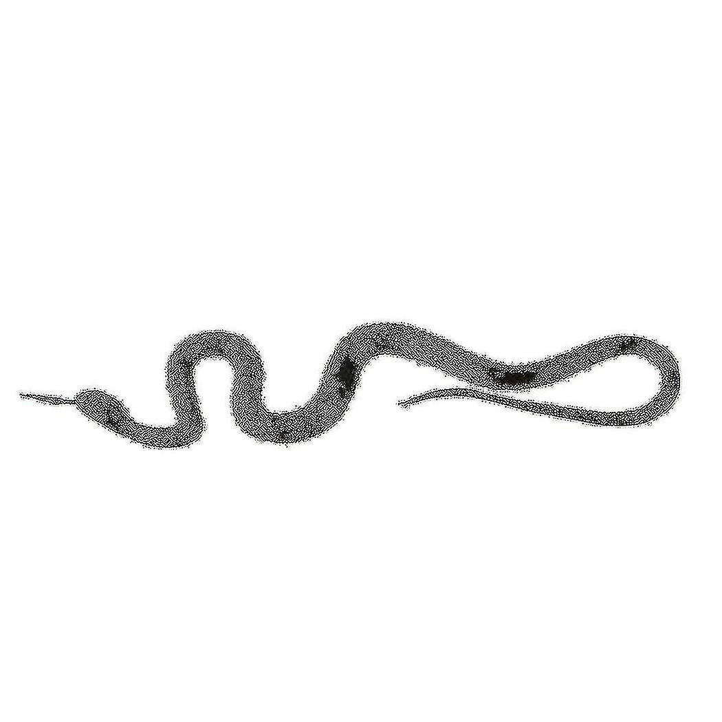 Serpent en caoutchouc, jouet de simulation, accessoires de jardin