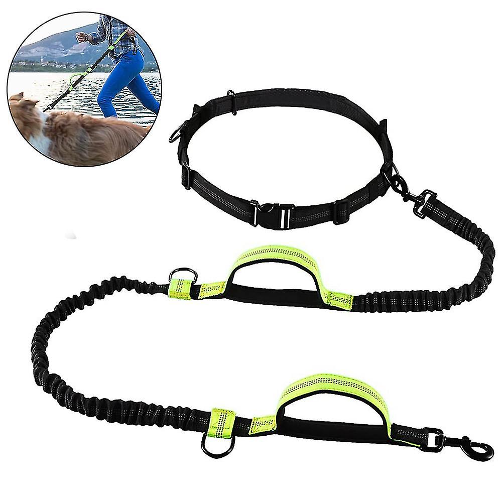 ジョギング犬リーシュ、2バンジーでハンズフリードッグリーシュをアップグレード