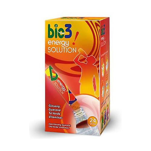 Bie 3 Energy Solution 24 units