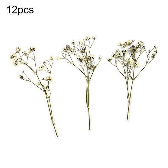 Charming Dried Flower Bouquets Natural Lightweight Fine Workmanship