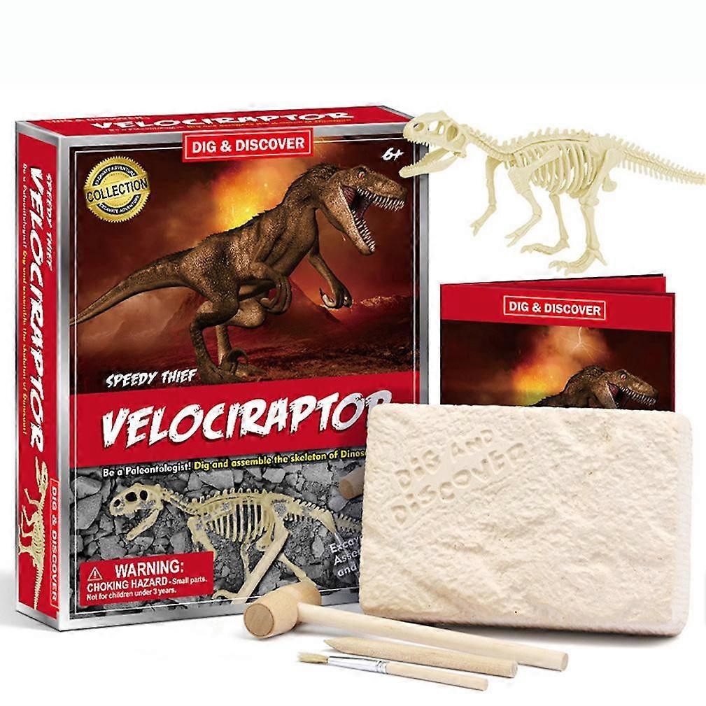 Valociraptor Fossils Archeology Biology Digging and Excavation Kids Science Kits