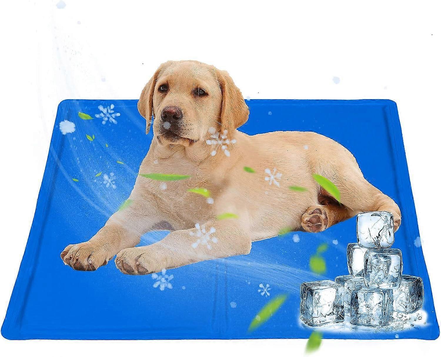 Pet Mat - 50*65cm