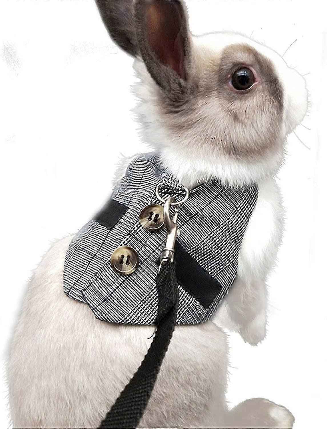 ペットリーシュ、格子縞-パターン化されたハーネス-ウサギのような小さなペット用のスタイルリーシュ、耐久性のあるバックルと快適なフィット感