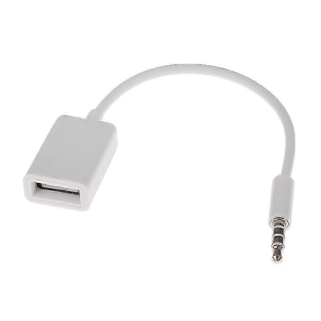 3.5mm AUX Connector to Converter Cable